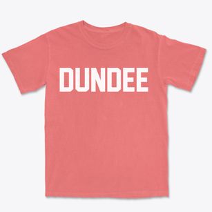 Dundee Michigan Classic Block Premium Heavyweight T-shirt