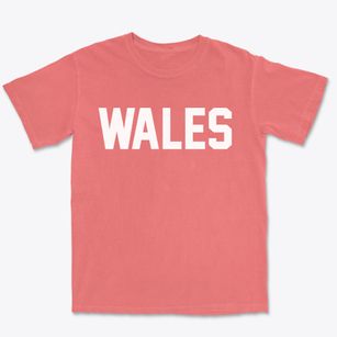 Wales Massachusetts Classic Block Premium Heavyweight T-shirt