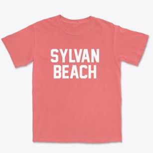 Sylvan Beach New York Classic Block Premium Heavyweight T-shirt