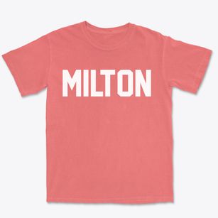Milton New York Classic Block Premium Heavyweight T-shirt