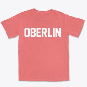 Oberlin Pennsylvania Classic Block Premium Heavyweight T-shirt