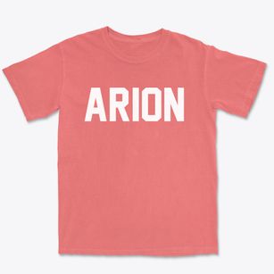 Arion Iowa Classic Block Premium Heavyweight T-shirt