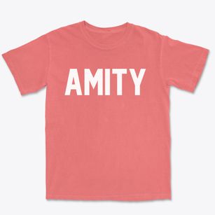 Amity Missouri Classic Block Premium Heavyweight T-shirt