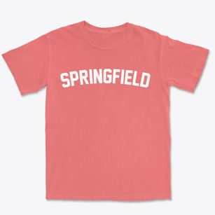 Springfield Massachusetts Classic Curve Premium Heavyweight T-shirt