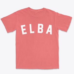 Elba Wisconsin Classic Curve Premium Heavyweight T-shirt