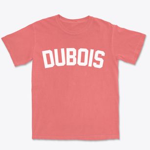 Dubois Idaho Classic Curve Premium Heavyweight T-shirt