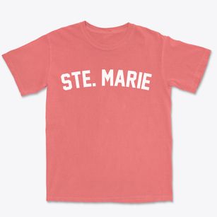 Ste. Marie Illinois Classic Curve Premium Heavyweight T-shirt