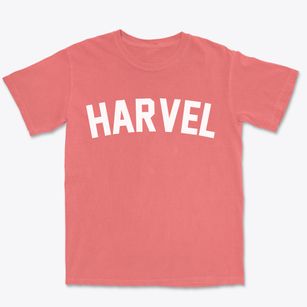 Harvel Illinois Classic Curve Premium Heavyweight T-shirt