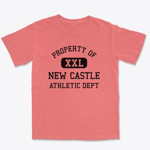 New Castle Delaware Athletic Dept Premium Heavyweight T-shirt