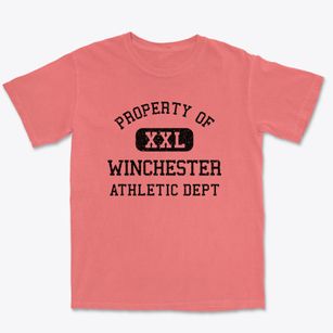 Winchester Indiana Athletic Dept Premium Heavyweight T-shirt