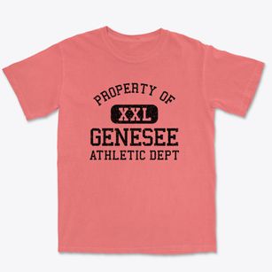 Genesee Colorado Athletic Dept Premium Heavyweight T-shirt