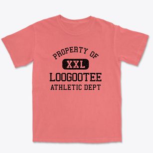 Loogootee Indiana Athletic Dept Premium Heavyweight T-shirt