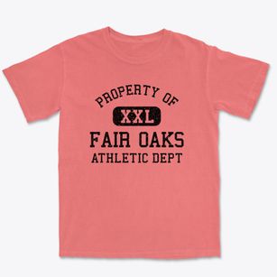 Fair Oaks Virginia Athletic Dept Premium Heavyweight T-shirt