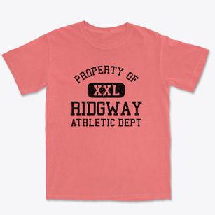Ridgway Colorado Athletic Dept Premium Heavyweight T-shirt
