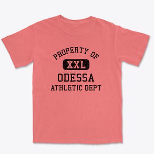 Odessa Washington Athletic Dept Premium Heavyweight T-shirt