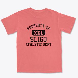 Sligo Pennsylvania Athletic Dept Premium Heavyweight T-shirt