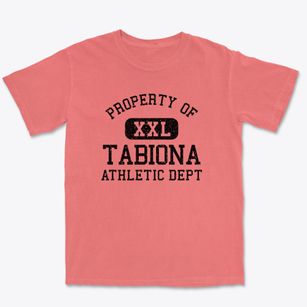 Tabiona Utah Athletic Dept Premium Heavyweight T-shirt