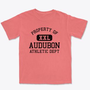 Audubon New Jersey Athletic Dept Premium Heavyweight T-shirt