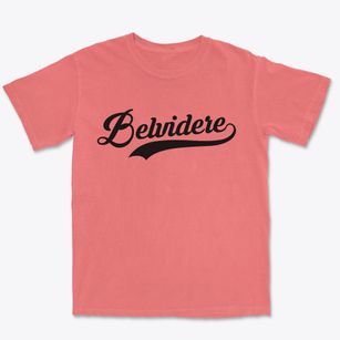 Belvidere Illinois Vintage Team Premium Heavyweight T-shirt
