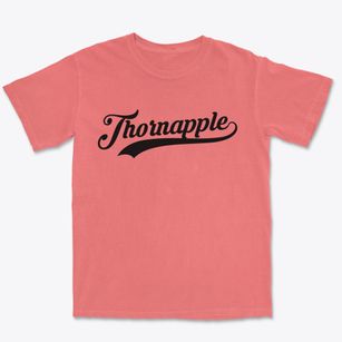 Thornapple Wisconsin Vintage Team Premium Heavyweight T-shirt