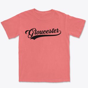 Gloucester North Carolina Vintage Team Premium Heavyweight T-shirt