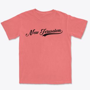 New Jerusalem Pennsylvania Vintage Team Premium Heavyweight T-shirt