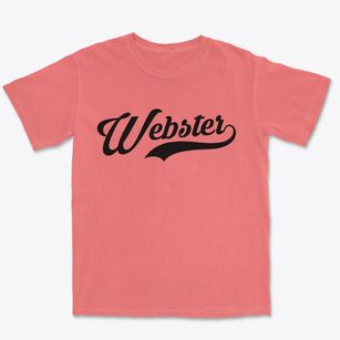Webster Massachusetts Vintage Team Premium Heavyweight T-shirt