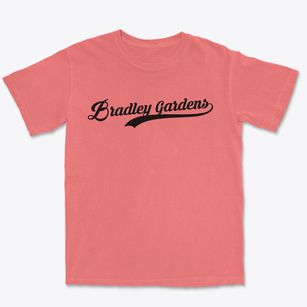 Bradley Gardens New Jersey Vintage Team Premium Heavyweight T-shirt