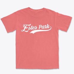 Estes Park Colorado Vintage Team Premium Heavyweight T-shirt