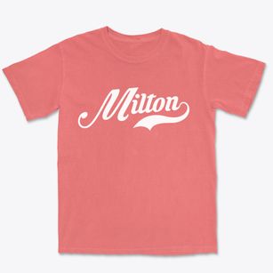 Milton New Hampshire Vintage Team Premium Heavyweight T-shirt