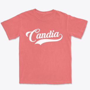 Candia New Hampshire Vintage Team Premium Heavyweight T-shirt
