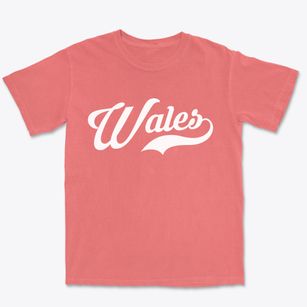 Wales New York Vintage Team Premium Heavyweight T-shirt