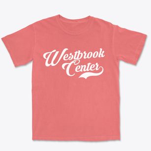 Westbrook Center Connecticut Vintage Team Premium Heavyweight T-shirt