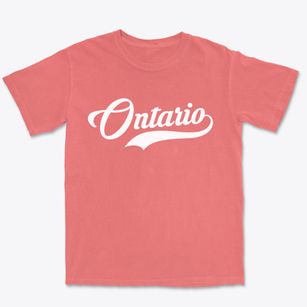 Ontario Wisconsin Vintage Team Premium Heavyweight T-shirt