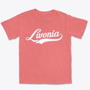 Livonia Michigan Vintage Team Premium Heavyweight T-shirt