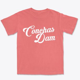 Conchas Dam New Mexico Vintage Team Premium Heavyweight T-shirt