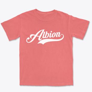 Albion Michigan Vintage Team Premium Heavyweight T-shirt
