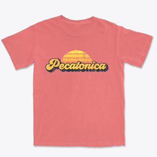 Pecatonica Illinois Sublime Sunset Premium Heavyweight T-shirt