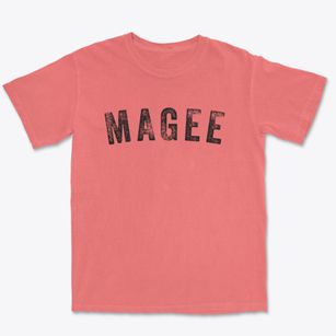 Magee Mississippi Timeless Retro Premium Heavyweight T-shirt