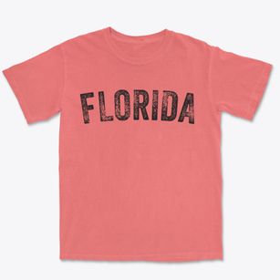 Florida New York Timeless Retro Premium Heavyweight T-shirt