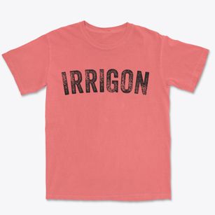 Irrigon Oregon Timeless Retro Premium Heavyweight T-shirt