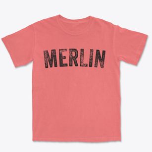 Merlin Oregon Timeless Retro Premium Heavyweight T-shirt