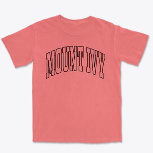 Mount Ivy New York Trendy Block Premium Heavyweight T-shirt