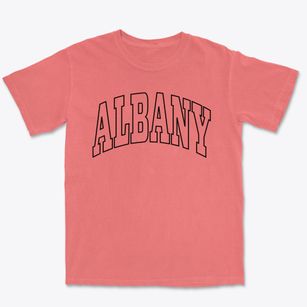 Albany New York Trendy Block Premium Heavyweight T-shirt