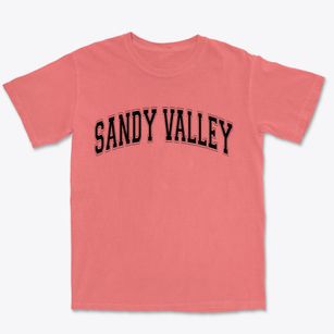 Sandy Valley Nevada Varsity Premium Heavyweight T-shirt