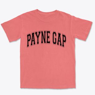 Payne Gap Kentucky Varsity Premium Heavyweight T-shirt
