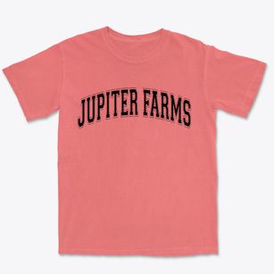 Jupiter Farms Florida Varsity Premium Heavyweight T-shirt