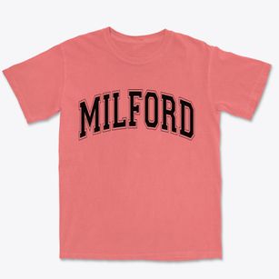 Milford Delaware Varsity Premium Heavyweight T-shirt