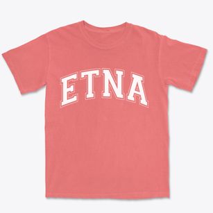 Etna California Varsity Premium Heavyweight T-shirt