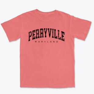 Perryville Maryland Urban Vibe Premium Heavyweight T-shirt